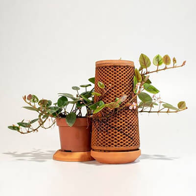 Homepage - terraplanter - visibly follow the journey from seed to plant